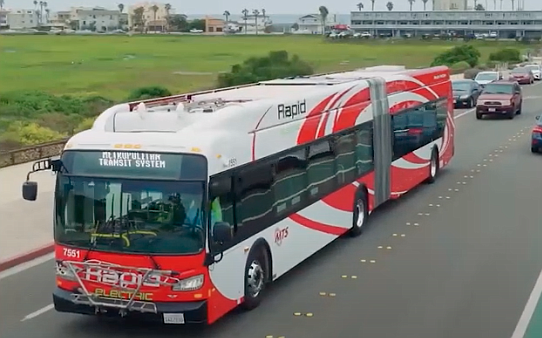 "Ghost buses," they call them.