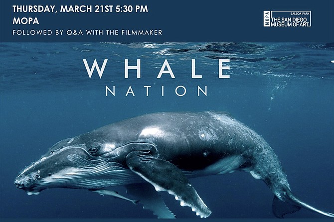 Blue Water Film Festival is back for its 5th year! Opening night at MOPA for Whale Nation.