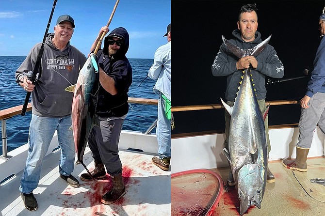 (left) A fat Coronado Island yellowtail caught from the Mission Belle on a full-day run.
(right) Like this chunky fish, bluefin tuna caught during the dark hours have been bigger for boats working within 80-miles south of Point Loma.