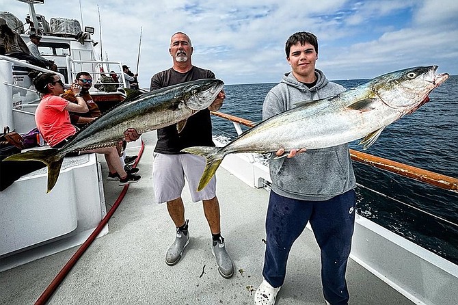 Two solid ‘homeguard’ yellowtail caught aboard the New Seaforth on a local AM half-day run.