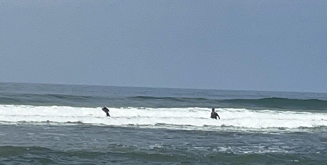 Surfer Joe and John in Pacific Beach