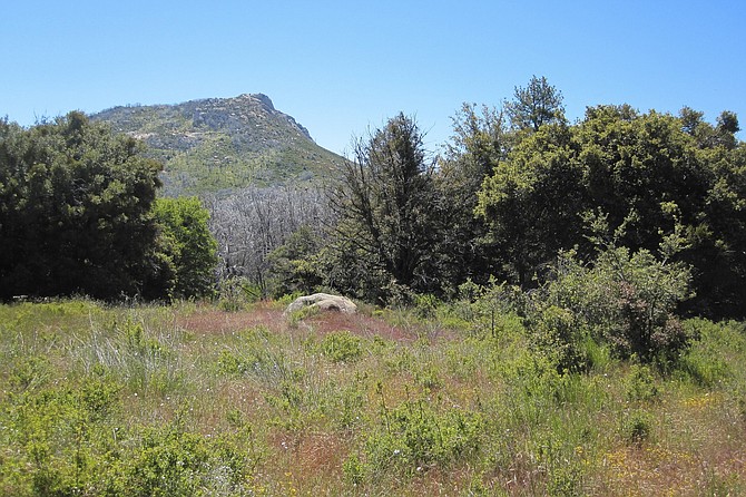 Azalea Glen Trail, Cuyamaca Rancho State Park