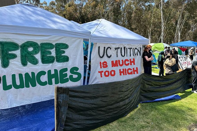 Following Chamberman’s announcement, many of the student movement’s protest banners were quickly repurposed for a new campaign. Here, “Free Palestine” and “UC Tuition Funds Genocide” have been altered to address concerns closer to home. “Waste not, want not,” said senior MaryAnn Bleat. “It’s not like we have money for new ones now.”