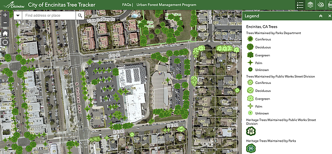 City of Encinitas Tree Tracker