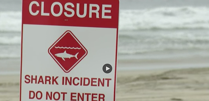 Lillie said she was more concerned about "sting rays in the area."