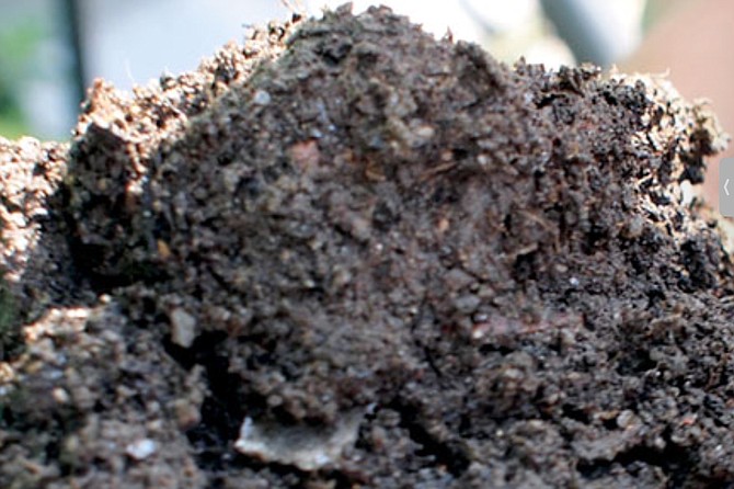 Biochar: savior of the TJ River?