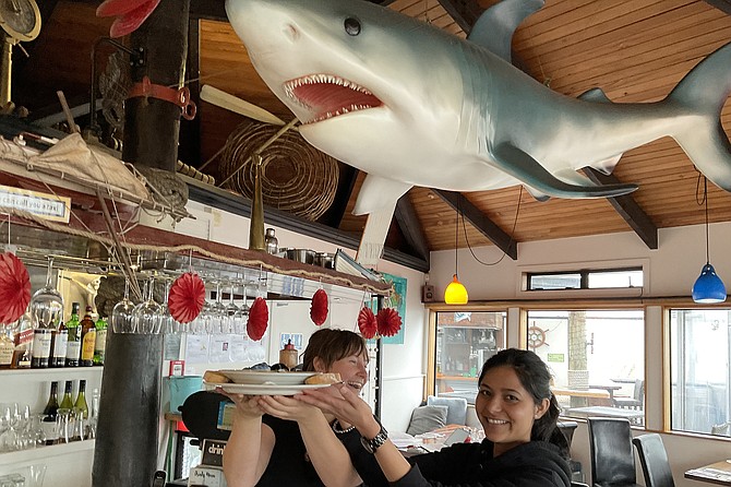 Staff fool around with my chowder underneath the company shark