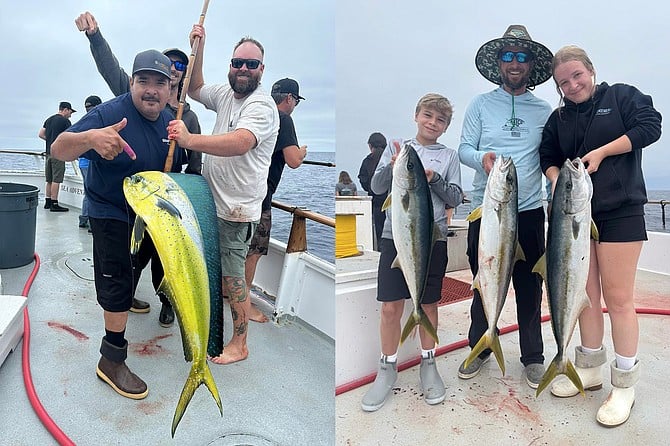 (left): A decent dorado picked up during a Sea Adventure 80 trip this week may signal a change in the fishery.
(right): Some quality yellowtail fishing aboard the Excel Family and Kids Adventure 3-day trip.