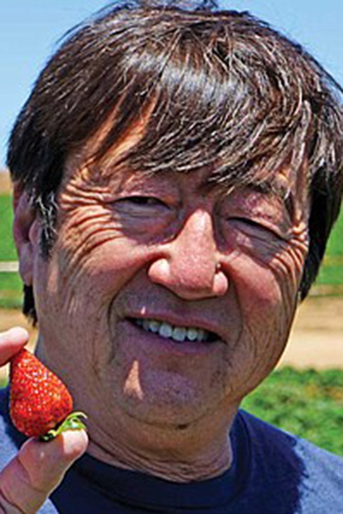Jimmy Ukegawa: strawberries are sweet, higher sales taxes are not.
