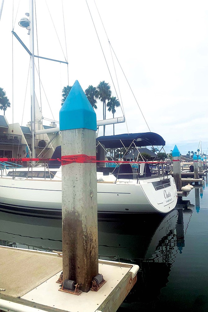 Closed off dock in Coronado Cays due to a Caulerpa discovery.