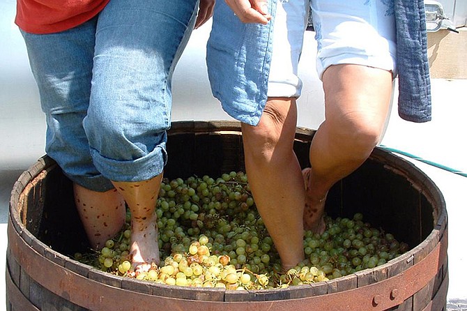 Come to Julian to celebrate the old-world tradition of kicking off your shoes, rolling up your pant legs and letting tons of blessed grapes squish beneath your feet!