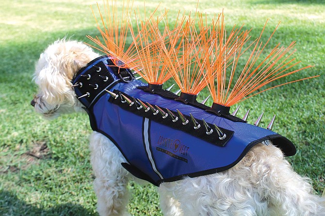 CoyoteVest has morphed from a makeshift operation run out of a garage to a business with locations in Scripps Ranch, Oceanside and Orange County.