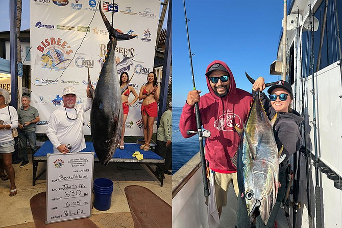 (left): The whopper 330-pound yellowfin tuna caught by angler John Duffy of Team Broad Vision during the Bisbee’s Los Cabos Open.
(right): Solid yellowfin tuna caught aboard the Tribute 2-day run just off Punta Colonet between Ensenada and San Quintin.