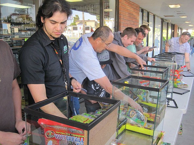 Central Valley Reptile Expo