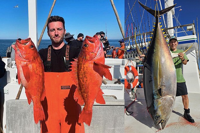 (left): A pair of solid good-eating vermilion rockfish caught aboard the Premier in 500-feet of water within half-day range.
(right): Nice start to long-range season for the Excel with this cow yellowfin tuna hauled aboard during their 10-day run south off the southern third of Baja.