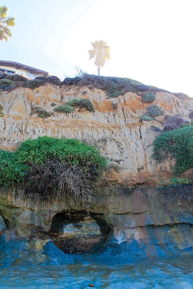 Southern California oceanside cliffs are fissure-prone. Sun and wind erode them while water tapers their faces into rills and seeps into their presumed solidity.