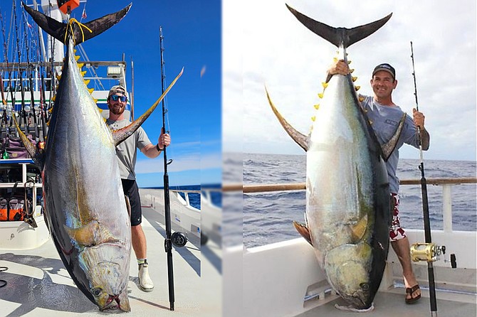 (left): Earl Gill with his potential all-tackle world record 443-pound yellowfin tuna caught while fishing aboard the Excel during their first long-range trip of the season.
(right): John Petruescu aboard the Excel in 2012 with the largest yellowfin tuna ever caught by rod and reel at 445-pounds.