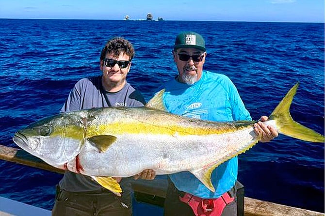 An oddly thick yellowtail caught off Alijos Rocks by Arturo Pino while fishing aboard the Searcher.