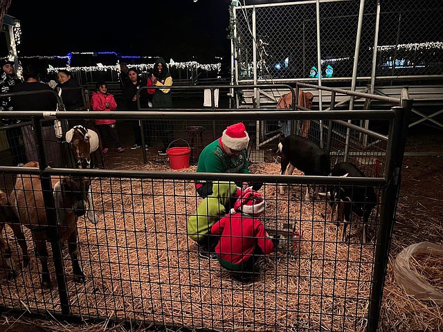 Join us for an evening of dazzling lights, seasonal spirit, barnyard friends and a sprinkle of steam and gas history to make it a unique celebration.