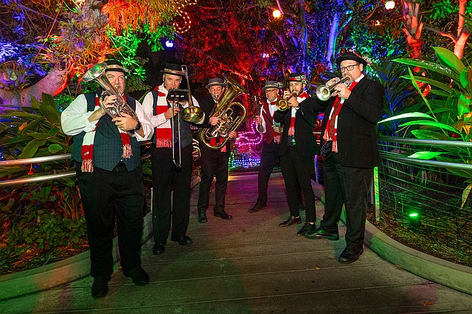 Join us for the return of Jungle Bells, when the Zoo lights up the night with amazing holiday entertainment and merry experiences.