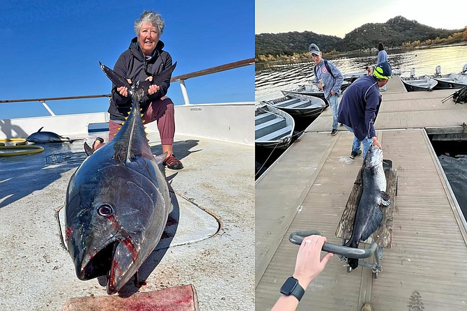 (left): Angler Sharon Hendrix Kramer with her 200-pound bluefin caught while kite-fishing aboard the Red Rooster III
(right): Archan Phandanouvong pulling his soon to be released 49.5-pound catfish to the scale at Lake Wohlford