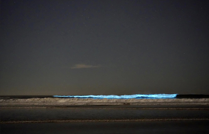 On November 10–11, a rare bioluminescence event transformed Ocean Beach waves due to harmful algal blooms.