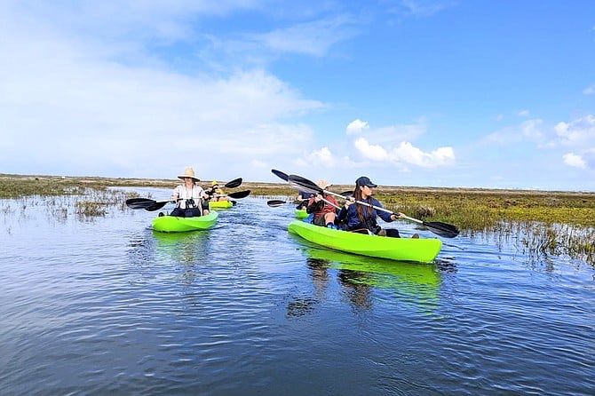 The Wildlife Kayaking Eco Tour offers a unique experience showcasing the South San Diego Bay National Wildlife Refuge and the many species that inhabit this biodiversity hotspot.