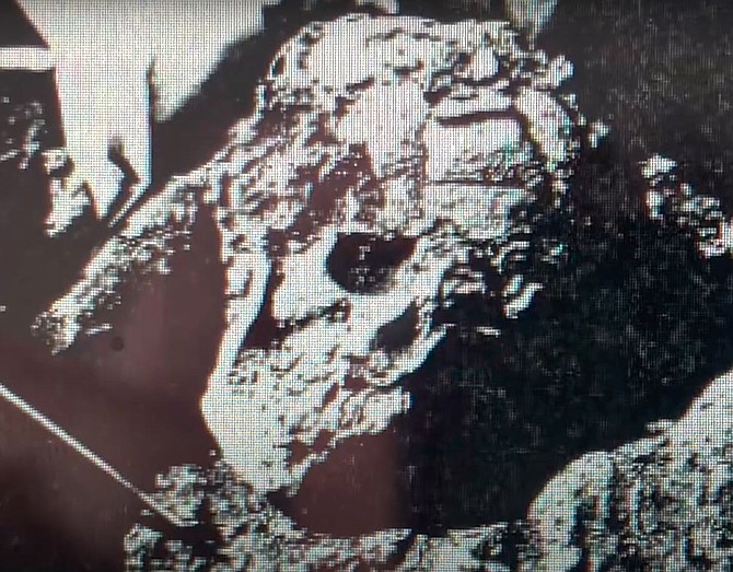 The Yuha Man’s skull, after discovery but before disappearance.