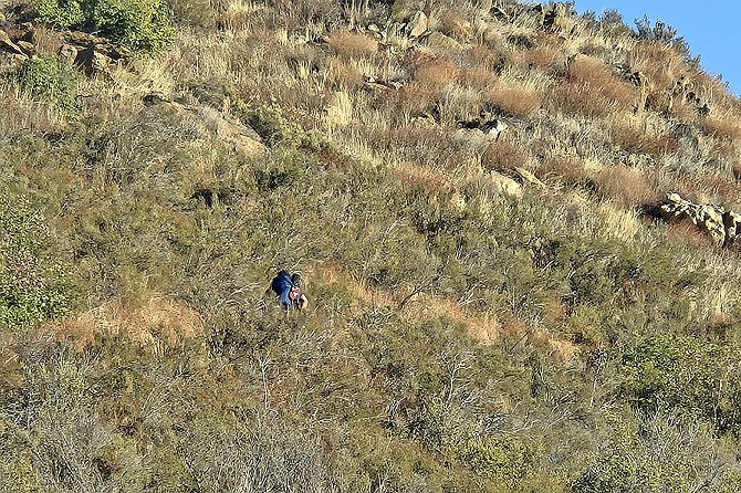 Hiker Matt heads out into the wilderness to recover from his divorce.
