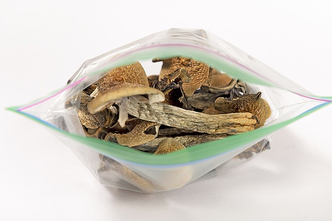 Whether or not San Diego County will get a legalized magic mushroom program through state legislation is still hanging fire, according to a December 27 dispatch from CalMatters.