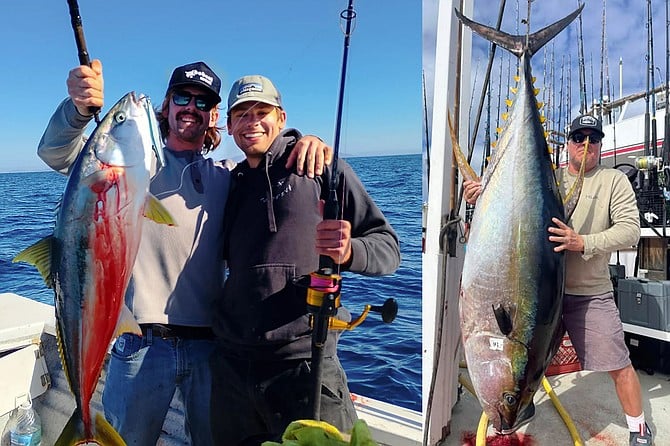 (left): Happy anglers with a chunky yellowtail caught while fishing with Cristian Catian out of K&M; Sportfishing.
(right): Ethan Dannis with his 213 pound yellowfin tuna caught on the kite while fishing aboard the Red Rooster III.