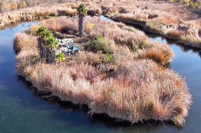 Trash Island: an ersatz pirate paradise, complete with palm tree.