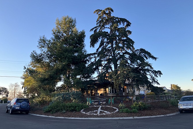 Why yes, it is a peaceful place — why do you ask?