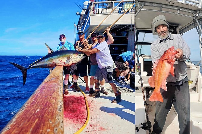 (left): Another solid yellowfin tuna comes over the rail of the Independence while fishing the lower banks off Baja Sur.
(right): This quality vermillion rockfish from outside of San Quintin will make several tasty fish tacos.