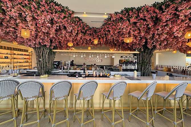 Pink bougainvillea fill the bar and dining room of Cocina 35 Brunch