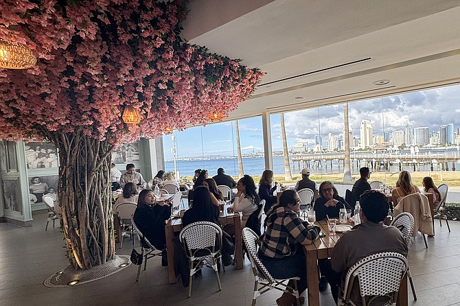 Bougainvillea and a view at Covina 35 Brunch, new to Coronado