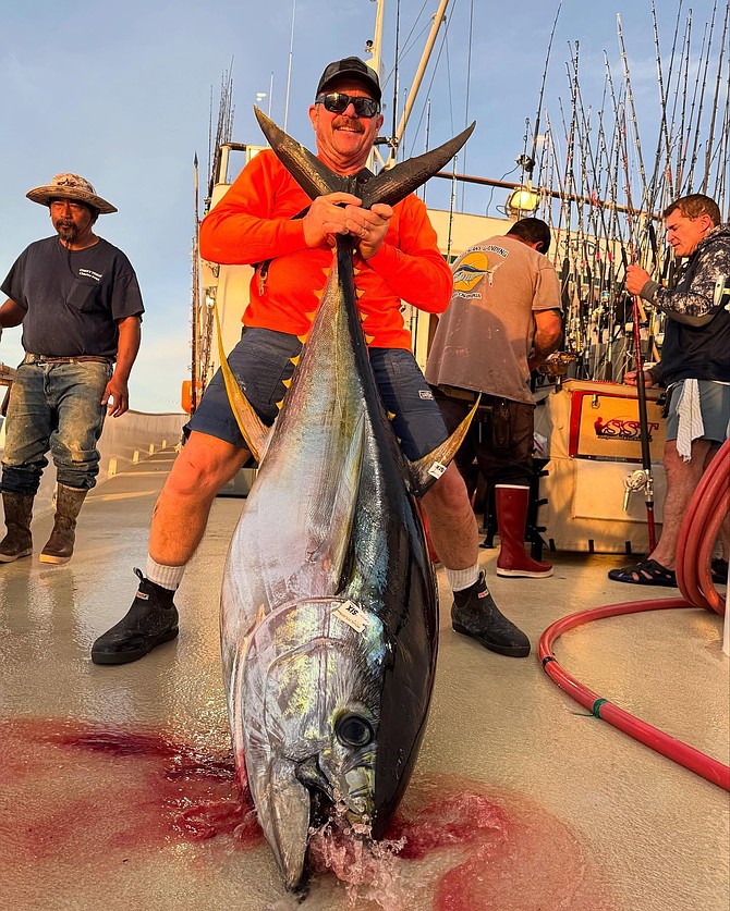 Solid yellowfin caught aboard the Royal Polaris while fishing the high spots outside of Bahia Magdalena.