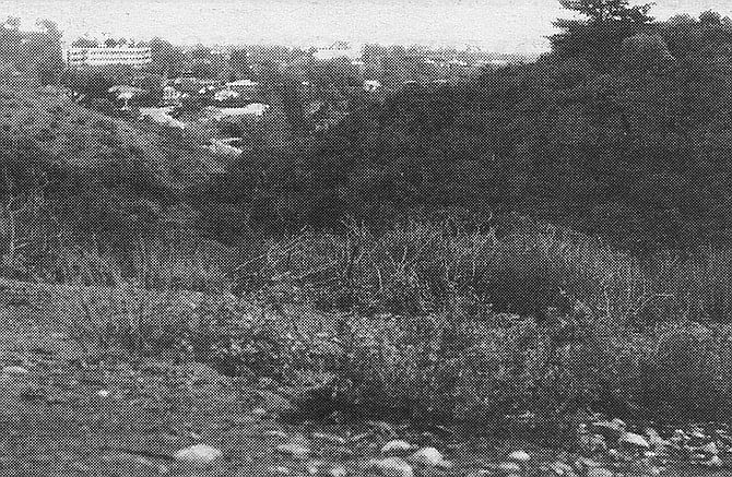 By 1970, Truckee Road had vanished from the books. In its place we now find a pair of short cul-de-sacs named for two British MPs of the early 20th Century: Balfour Court and Belloc Court.