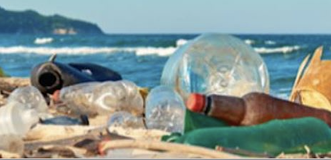 8 out of 10 pieces of trash collected on county beaches are plastic.