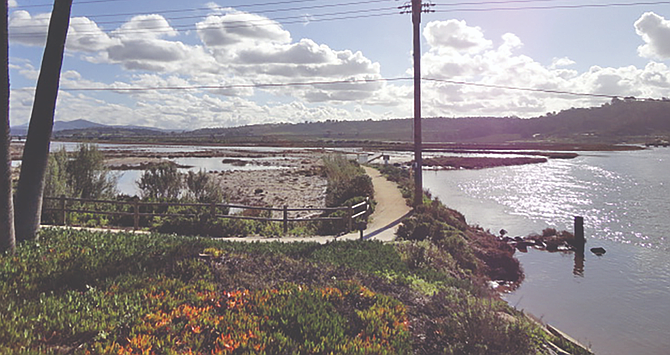 Off-limits is the San Dieguito Lagoon unless signs permit bicycle access.