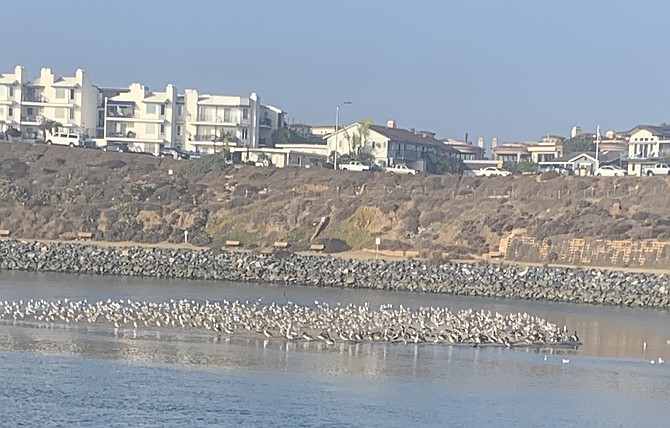 Coastal sand moves southward from Carlsbad beaches like this