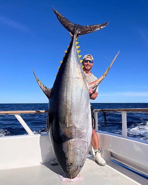 Earl Gill with his now official IGFA record yellowfin tuna caught aboard the Excel on November 11, 2024.