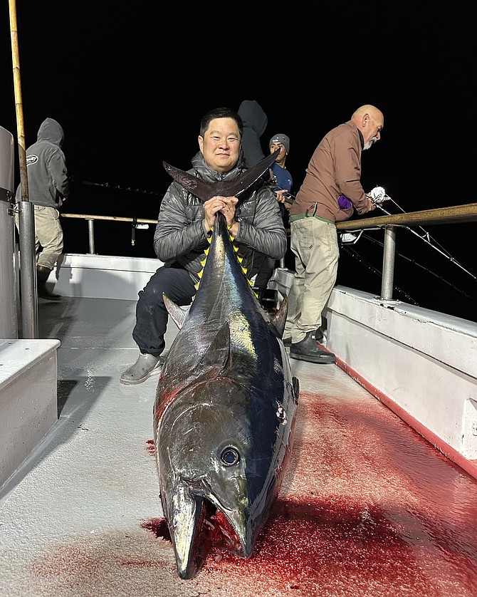A solid bluefin tuna pushing 200 pounds caught aboard the Tribute this week as the bite turns on.