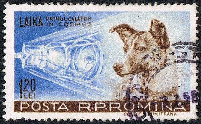 The original rated a stamp!