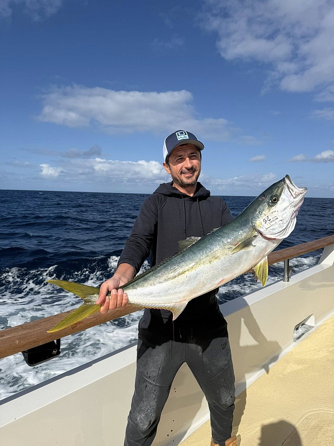 A nice kelp paddy yellowtail caught aboard the Intrepid during their 3-day outing.