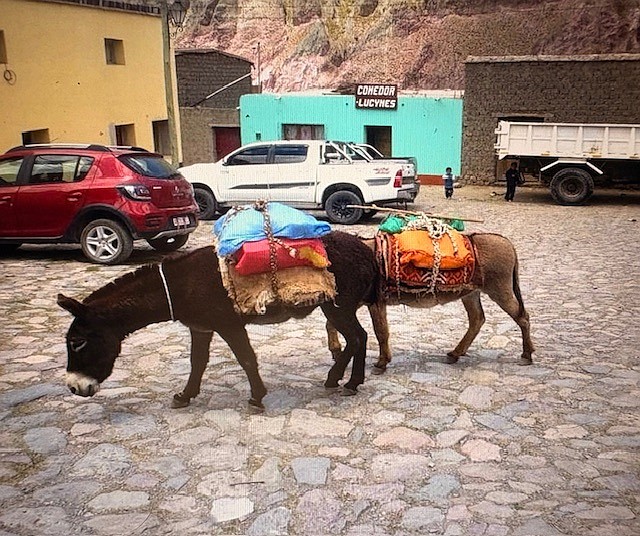 Burritos are the Iruya mountain bikes.