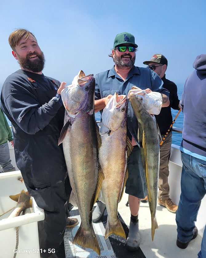 Anglers aboard Amigo Sportfishing this April with some solid white seabass, some of which are most likely a result of restocking efforts since the 1980s