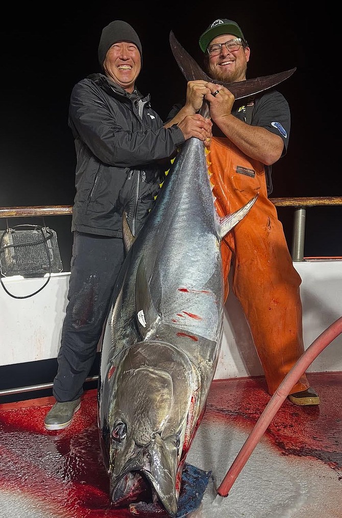 Solid bluefin caught aboard the Pacific Queen as the moon phase wanes, conditions calm, and the bite picks up.