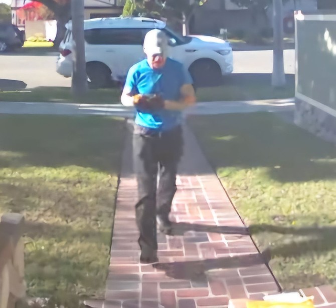 Coronado package thief