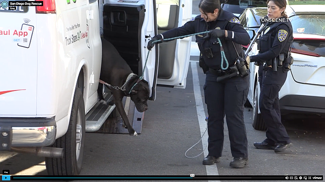 A tow truck driver heard barking inside the vehicle.
